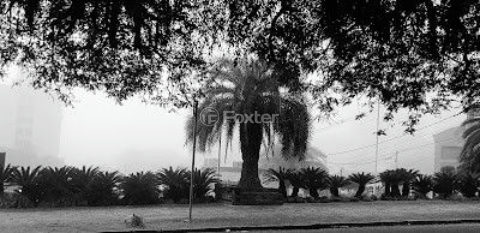 Image 27 - 287347