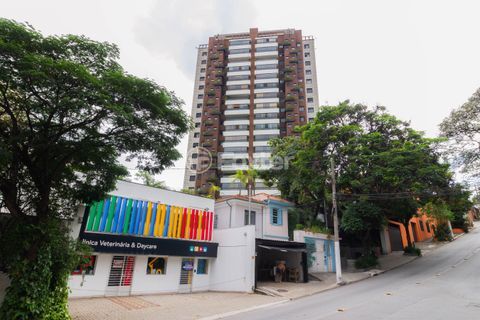 Image 34 - 981161