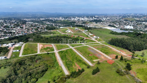 Image 10 - 1017436