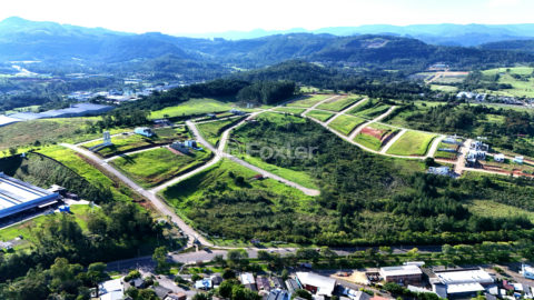 Image 12 - 1017436