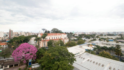 Image 28 - 1017252