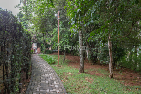 Image 45 - 875265