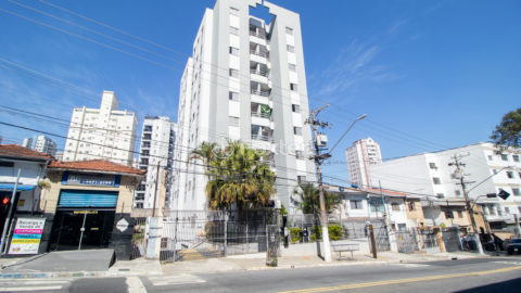 Image 31 - 1019501