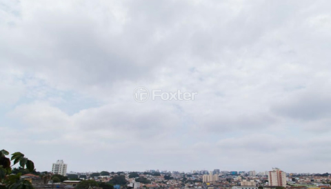Image 37 - 896077