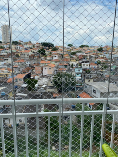 Image 33 - 334075