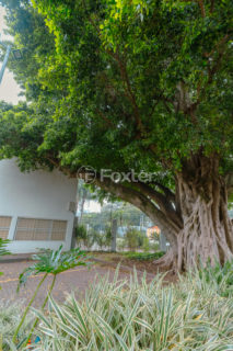 Image 73 - 1017128