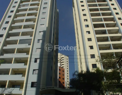 Image 54 - 1032391