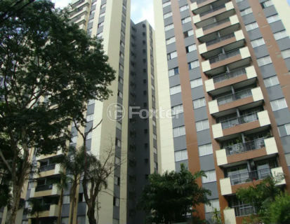 Image 49 - 1036360