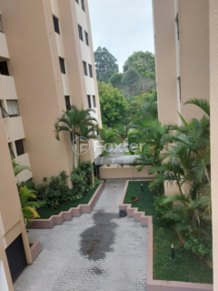 Image 58 - 1032907
