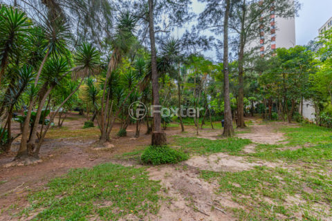 Image 34 - 1025608
