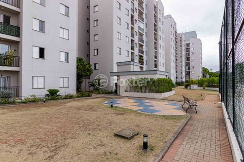 Image 32 - 1018819