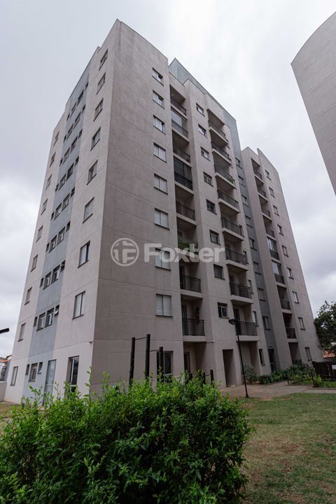 Image 35 - 1018819