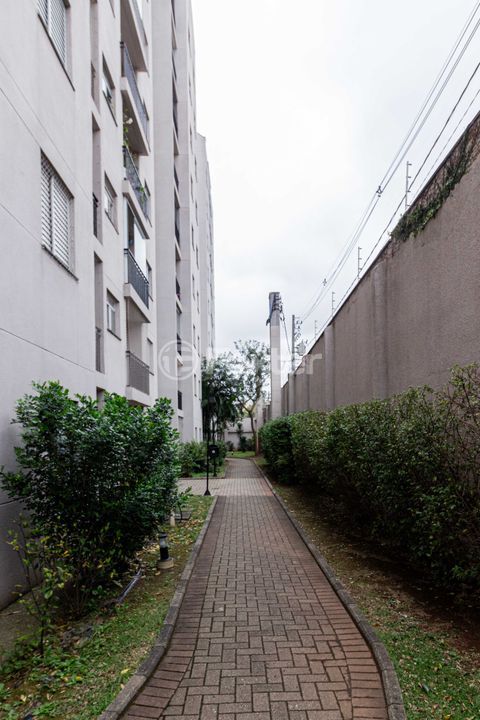 Image 37 - 1018819