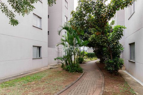 Image 38 - 1018819