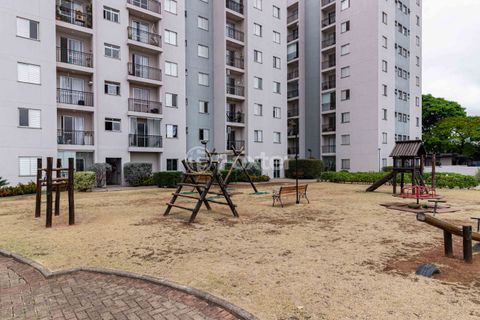 Image 42 - 1018819