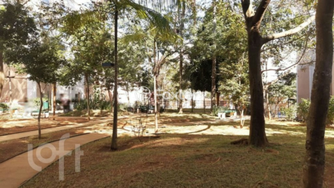 Image 6 - 323967