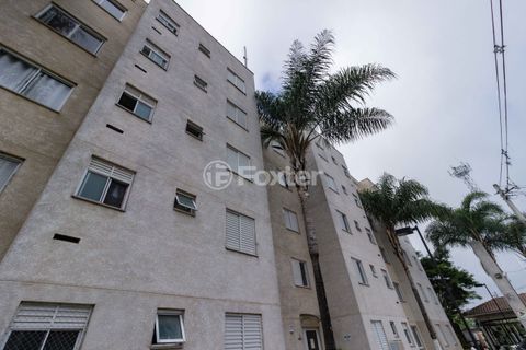 Image 62 - 872886