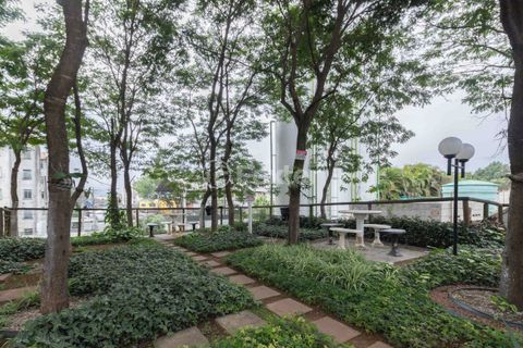 Image 61 - 872886