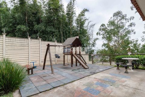 Image 38 - 872886