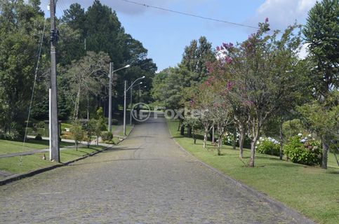 Image 14 - 948847