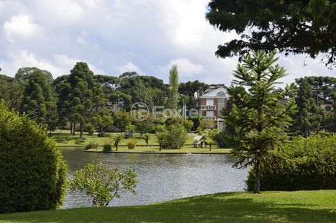Image 17 - 948847