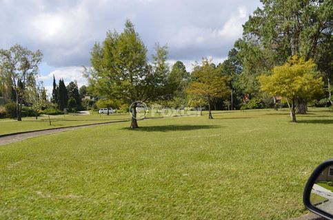 Image 18 - 948847