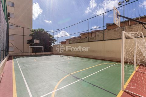 Image 32 - 883556
