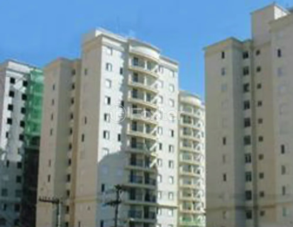 Image 42 - 337532