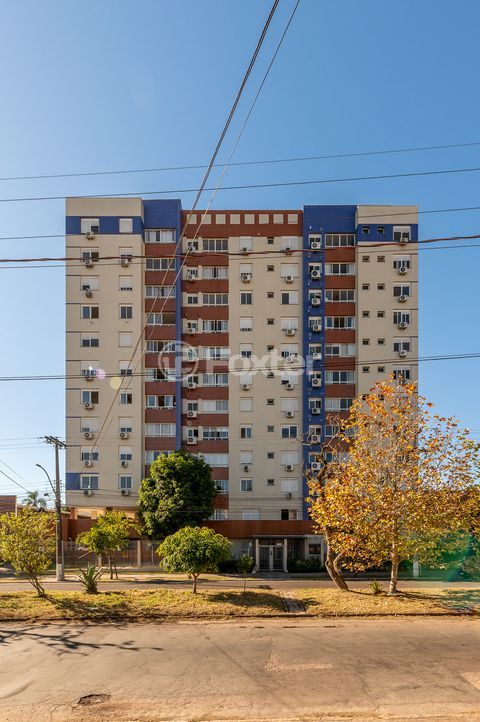 Image 31 - 983908