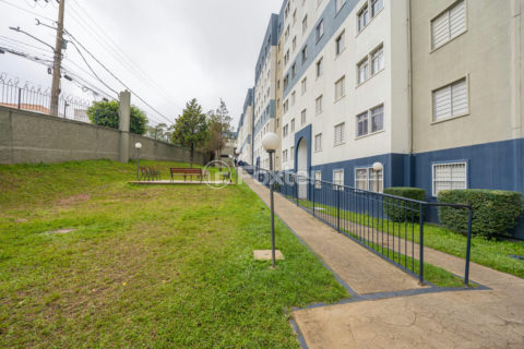 Image 6 - 24981