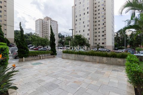 Image 17 - 973902
