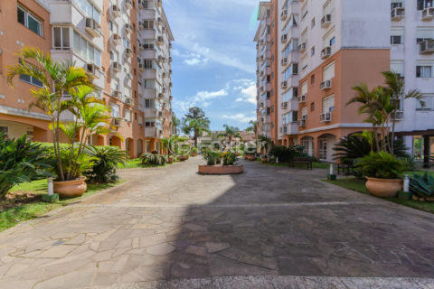 Image 83 - 1017211