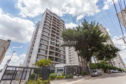 Image 41 - 1013631
