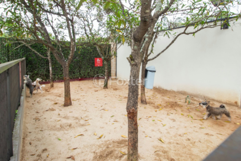 Image 32 - 981798