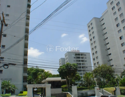 Image 74 - 1021676