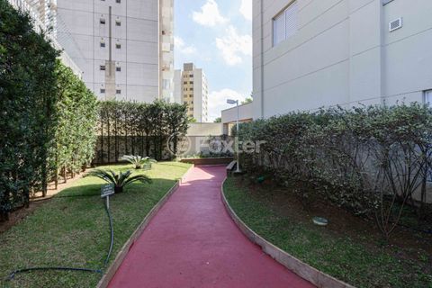 Image 48 - 1002825