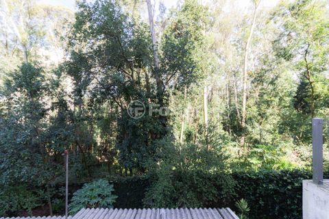 Image 44 - 331992