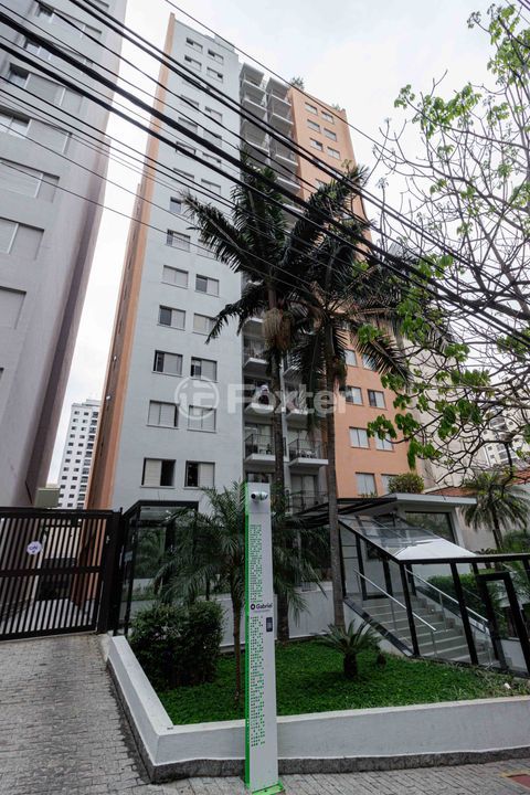 Image 76 - 327767