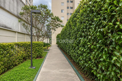 Image 33 - 1020947