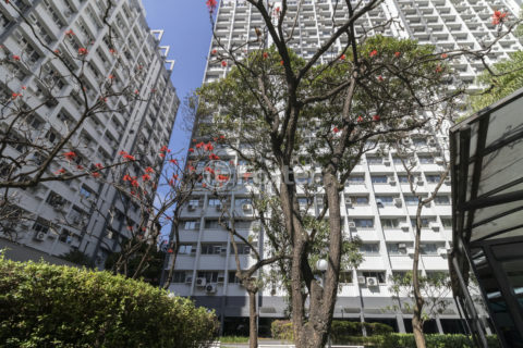 Image 24 - 1015667
