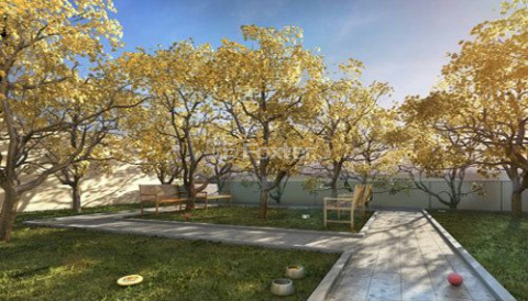 Image 32 - 1032696