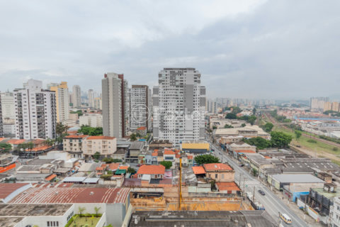 Image 52 - 1011042