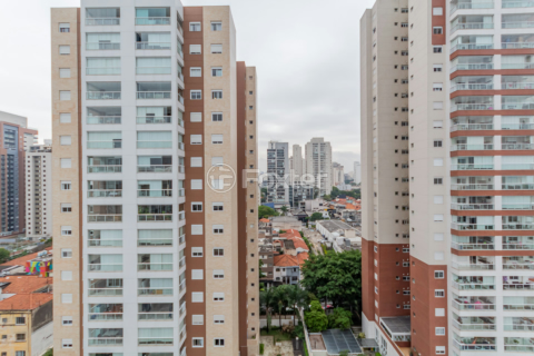 Image 51 - 1011042