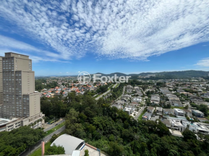 Image 47 - 981164