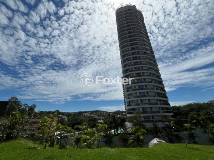 Image 82 - 981164