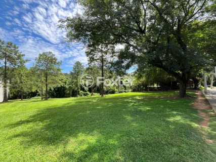 Image 83 - 981164