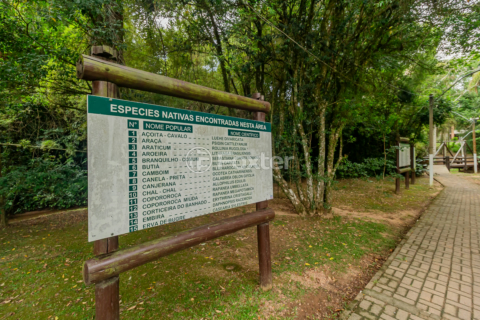 Image 7 - 204664