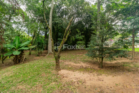 Image 10 - 204664