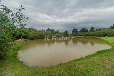 Image 27 - 204664