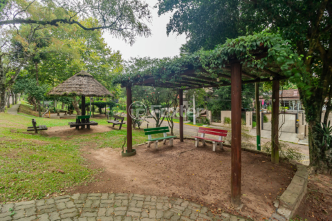 Image 35 - 204664